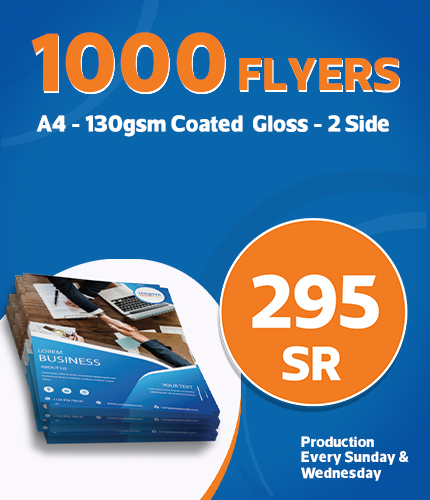 Flyer -Offset Offer ENG