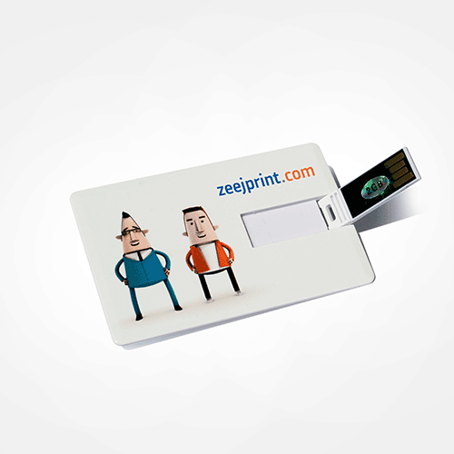 USB Drive Business Cards